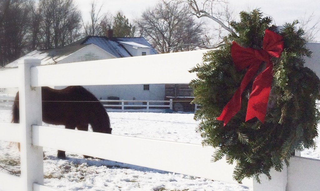 Christmas Eve in the&nbsp;Stables
